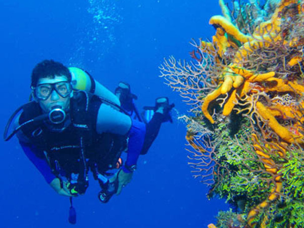 压缩机企业降本增效现存误区解读