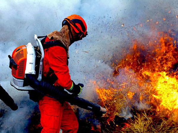 后疫情时代的压缩机市场趋向